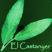 El Castanyer